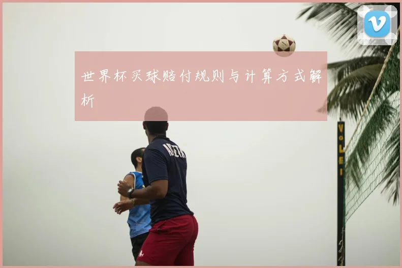 世界杯买球赔付规则与计算方式解析