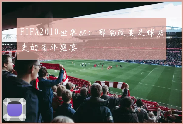 FIFA2010世界杯:那场改变足球历史的南非盛宴