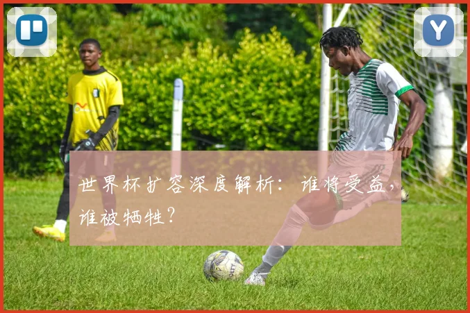 世界杯扩容深度解析：谁将受益，谁被牺牲？