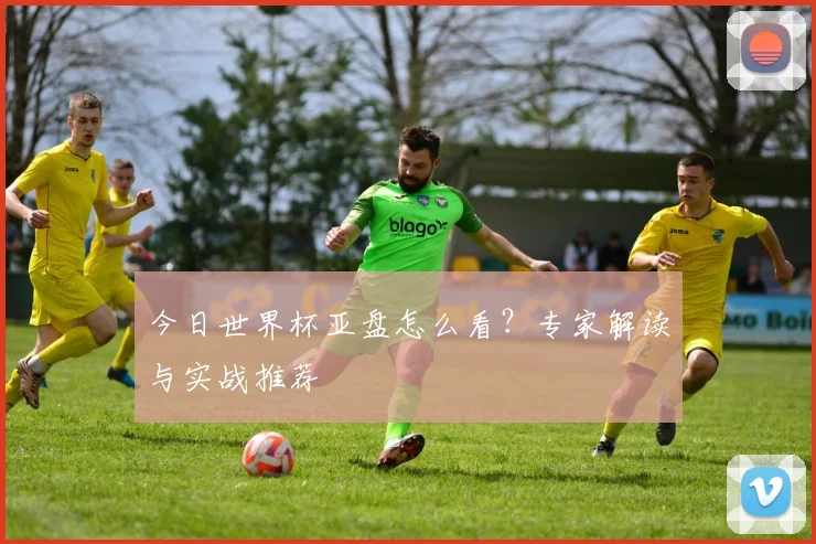 今日世界杯亚盘怎么看？专家解读与实战推荐