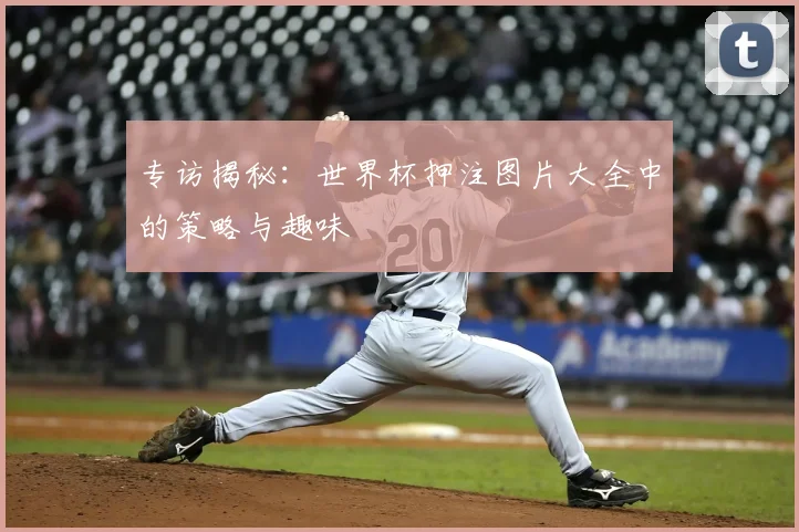 专访揭秘：世界杯押注图片大全中的策略与趣味