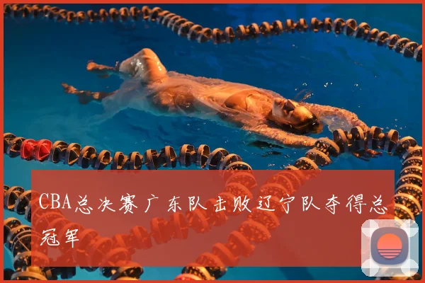 CBA总决赛广东队击败辽宁队夺得总冠军