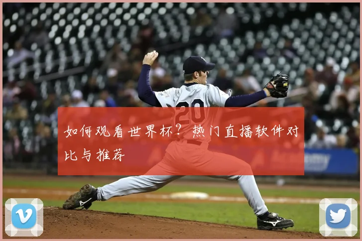 如何观看世界杯？热门直播软件对比与推荐