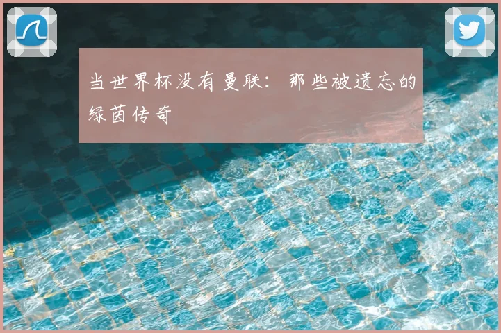当世界杯没有曼联:那些被遗忘的绿茵传奇