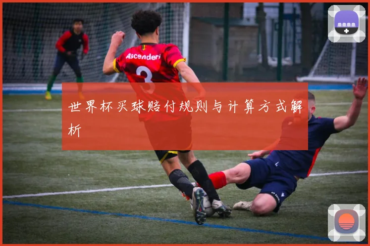 世界杯买球赔付规则与计算方式解析