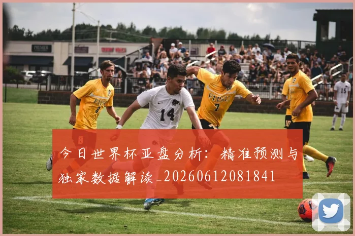 今日世界杯亚盘分析:精准预测与独家数据解读_20260612081841