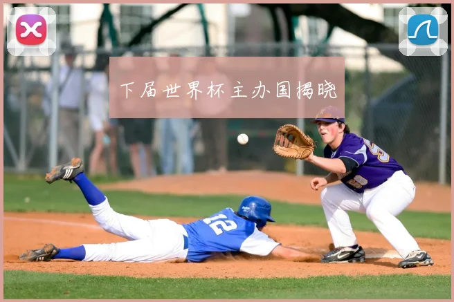 下届世界杯主办国揭晓