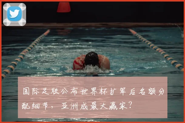 国际足联公布世界杯扩军后名额分配细节,亚洲成最大赢家?
