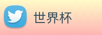 世界杯 Logo